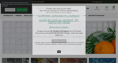 Desktop Screenshot of made-in-mosaic.fr